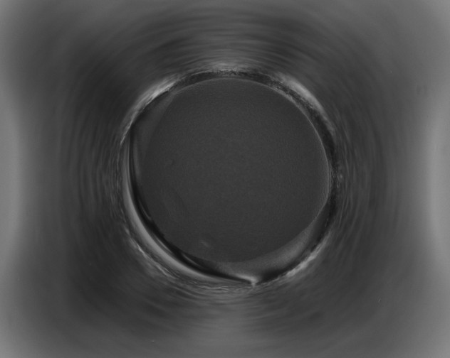 X0000087710930200705041055