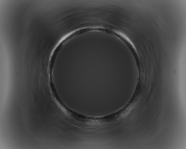 X0000087710935200705041056