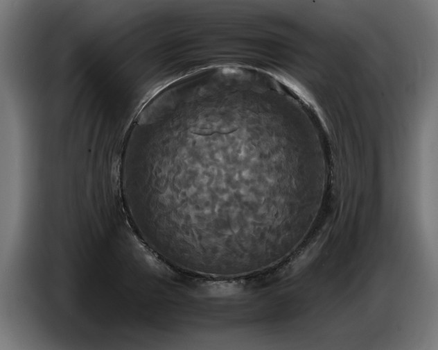 X0000087710937200705041056