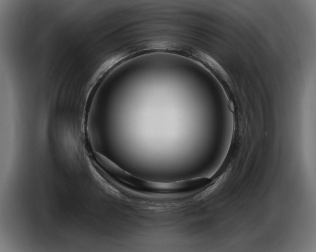 X0000087710938200705041056