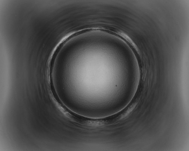 X0000087710939200705041056