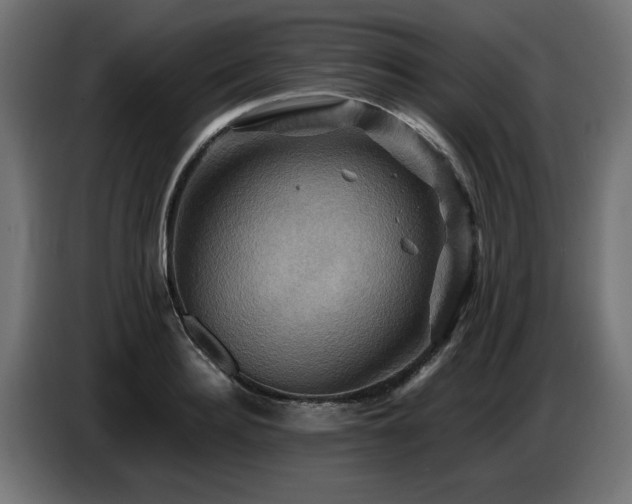 X0000087710940200705041056