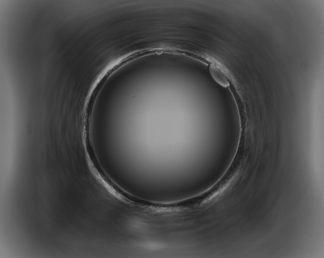 X0000087710941200705041056