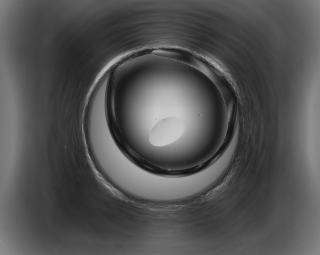 X0000087710942200705041056