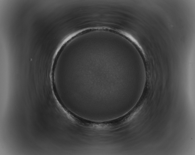 X0000087710943200705041056