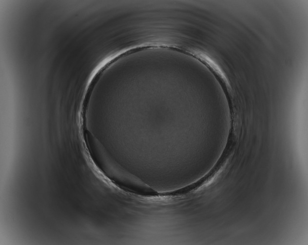 X0000087710944200705041056