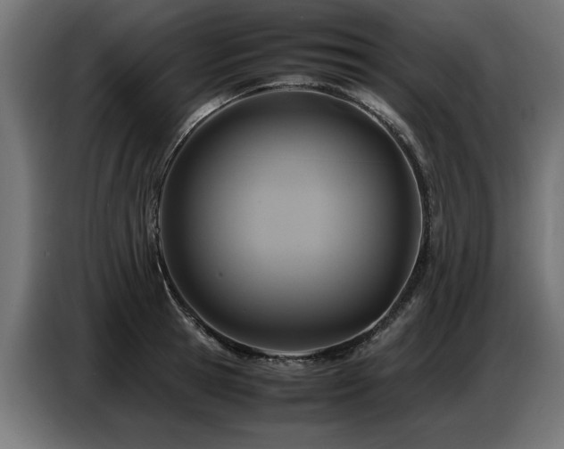 X0000087710945200705041056