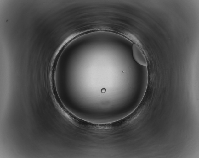 X0000087710947200705041056