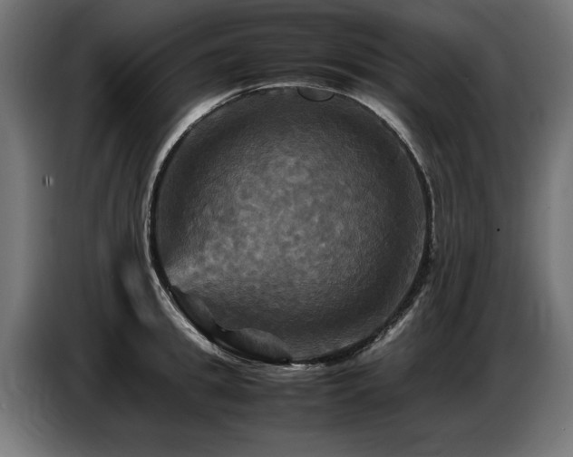 X0000087710949200705041056