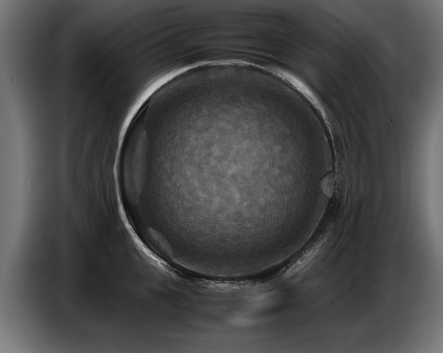 X0000087710951200705041056