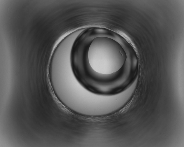 X0000087710952200705041056