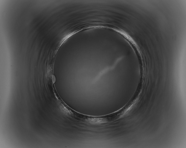 X0000087710953200705041056