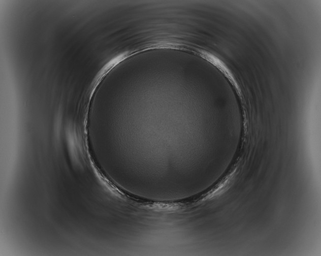 X0000087710954200705041056