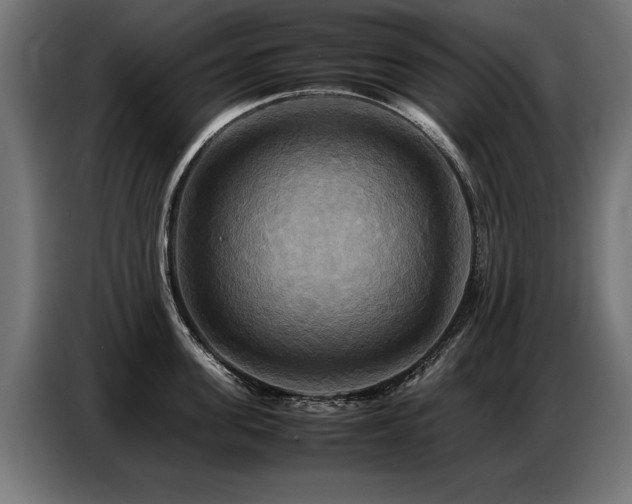 X0000087710955200705041056