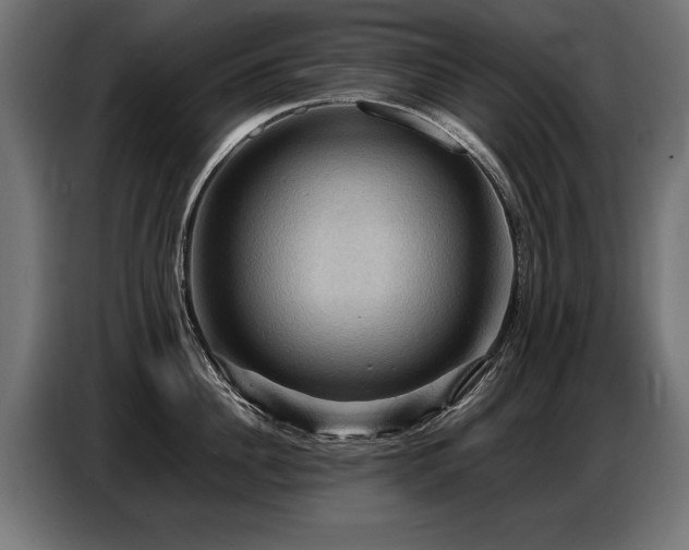X0000087710956200705041056
