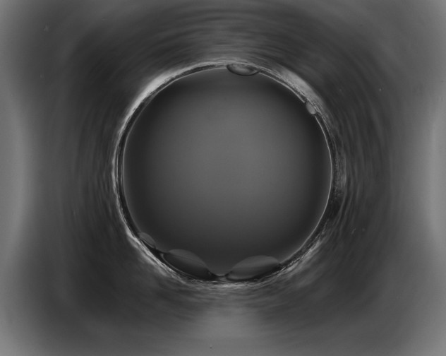X0000087710958200705041056