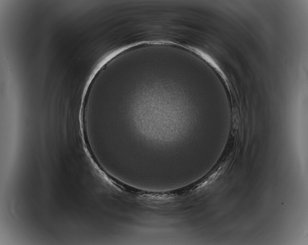 X0000087710959200705041056