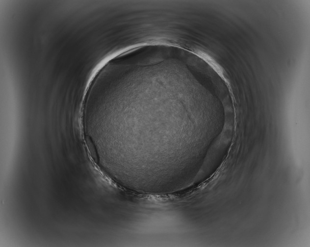 X0000087710960200705041056