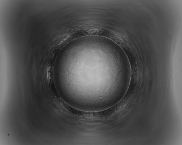 X0000087710962200705041055