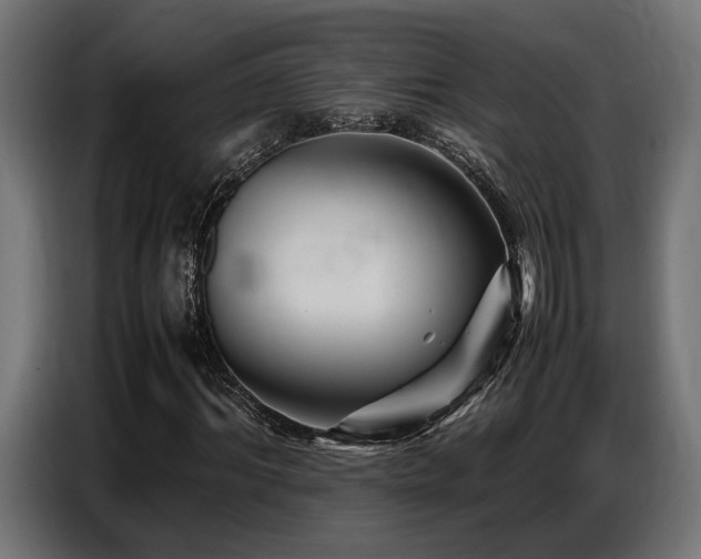 X0000087710964200705041055