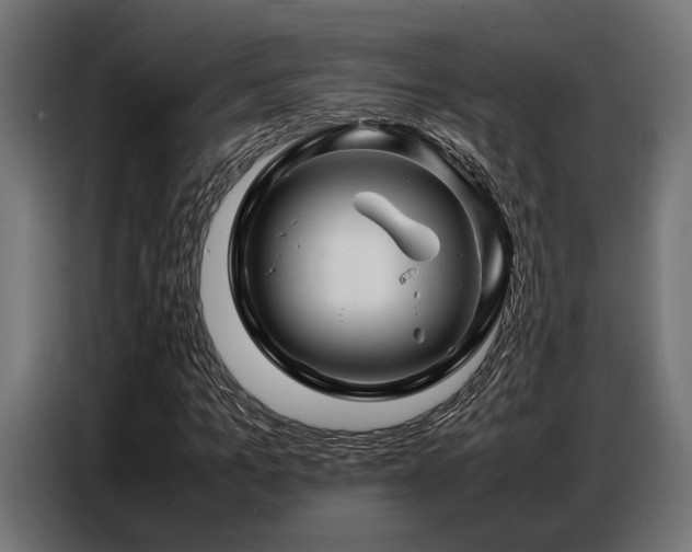 X0000087710965200705041055