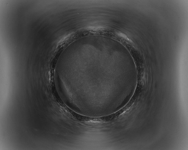 X0000087710966200705041055
