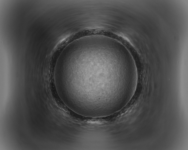 X0000087710967200705041055