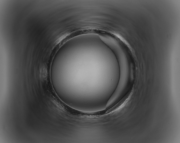 X0000087710969200705041055