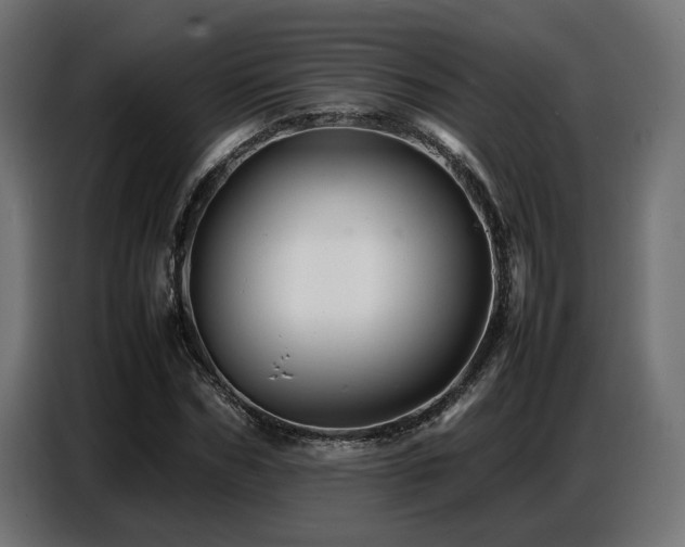 X0000087710970200705041055