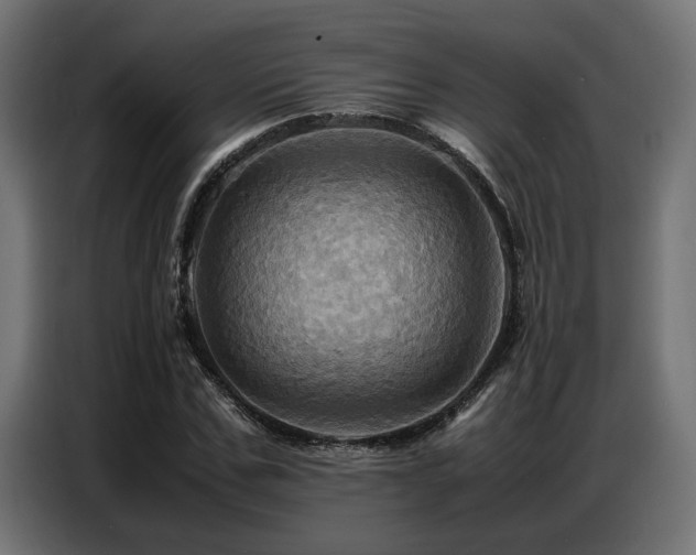 X0000087710971200705041055