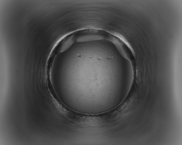 X0000087710972200705041055