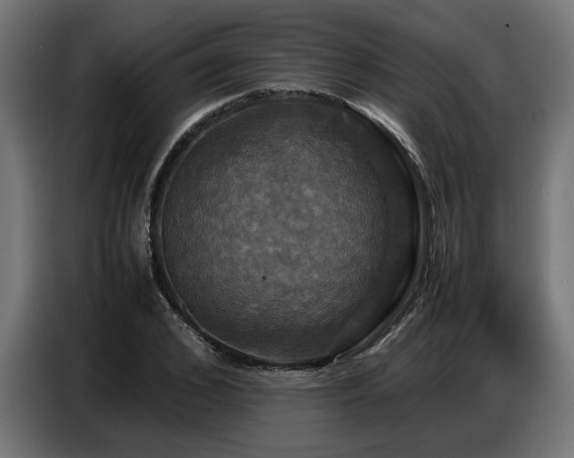 X0000087710976200705041055