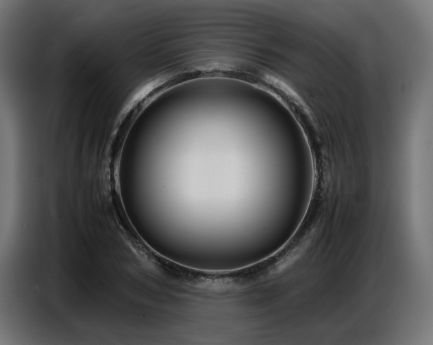 X0000087710978200705041055