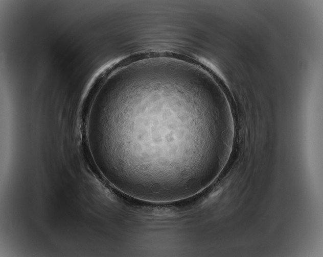 X0000087710979200705041055