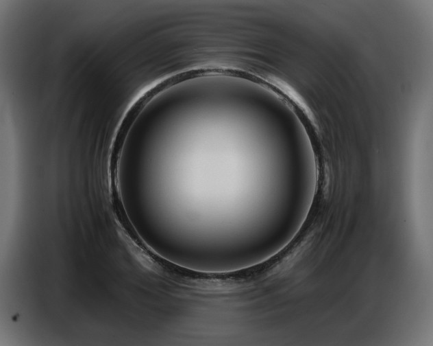 X0000087710980200705041055