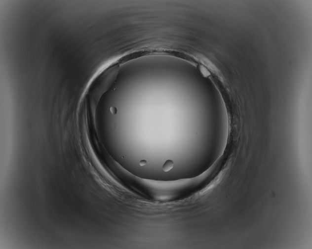 X0000087710981200705041055