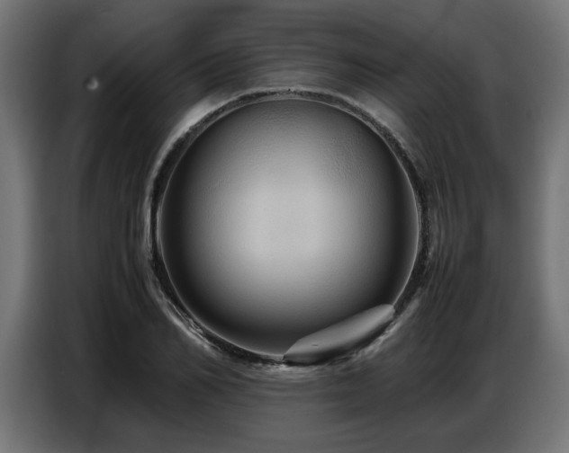 X0000087710982200705041055