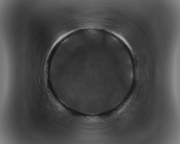 X0000087710983200705041055