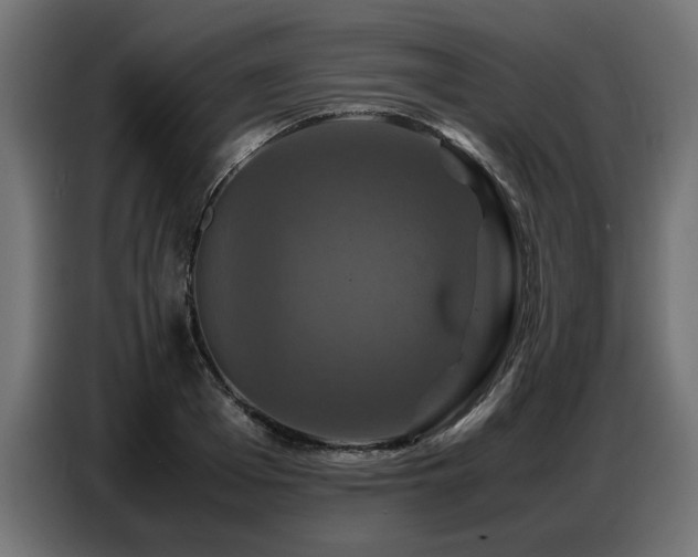 X0000087710985200705041055