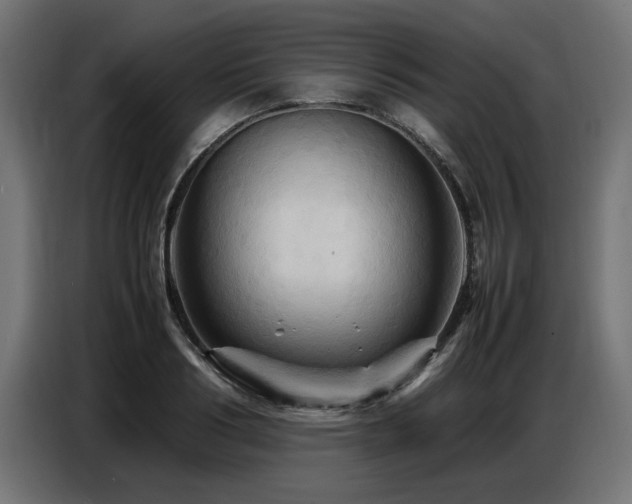 X0000087710986200705041055