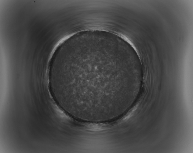 X0000087710987200705041055