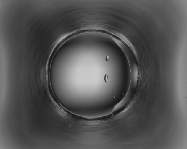 X0000087710988200705041055