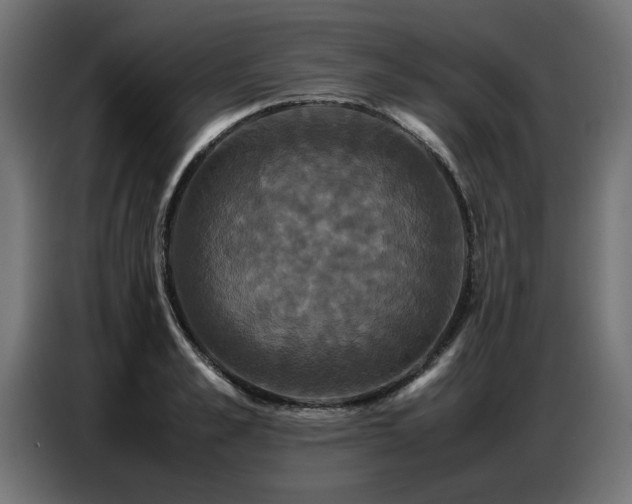 X0000087710989200705041055