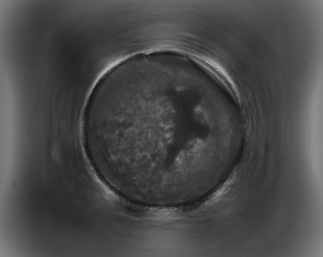 X0000087710991200705041055