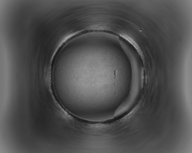 X0000087710992200705041055