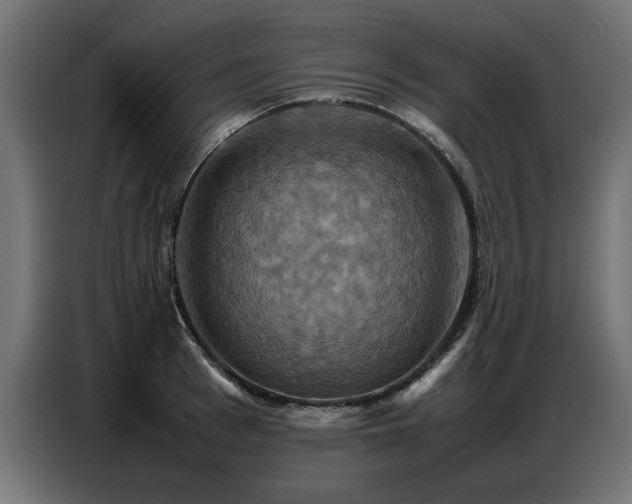 X0000087710993200705041055