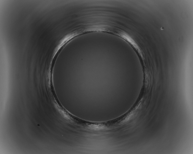 X0000087710994200705041055