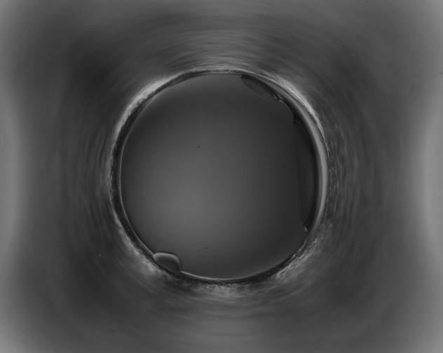 X0000087710995200705041055