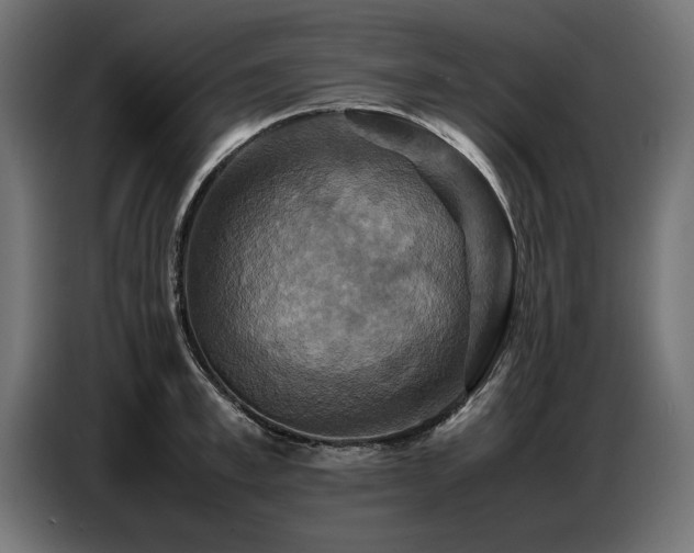 X0000087710997200705041055