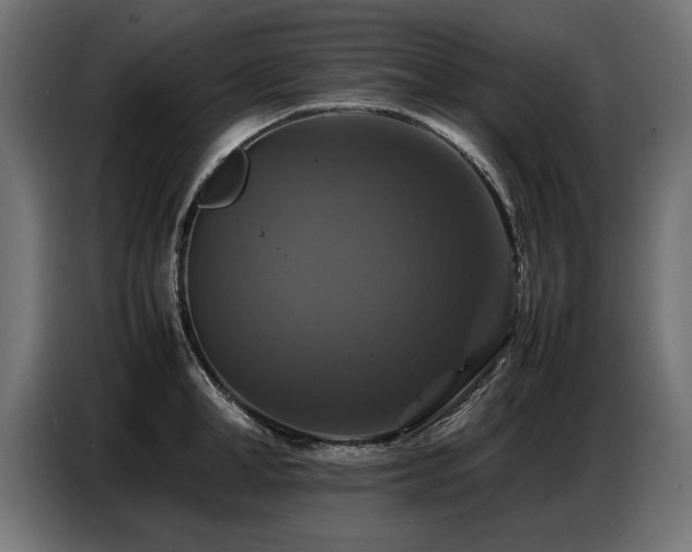 X0000087710998200705041055